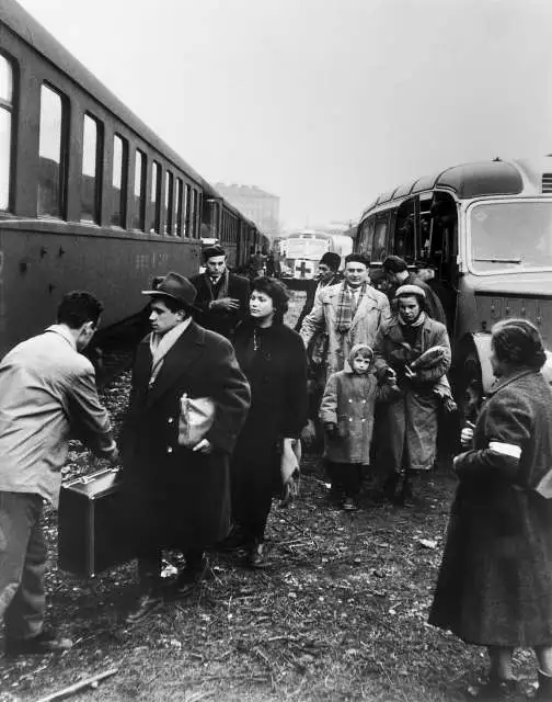Hungarian refugees