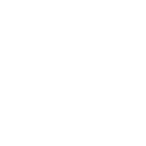 Flutter icon