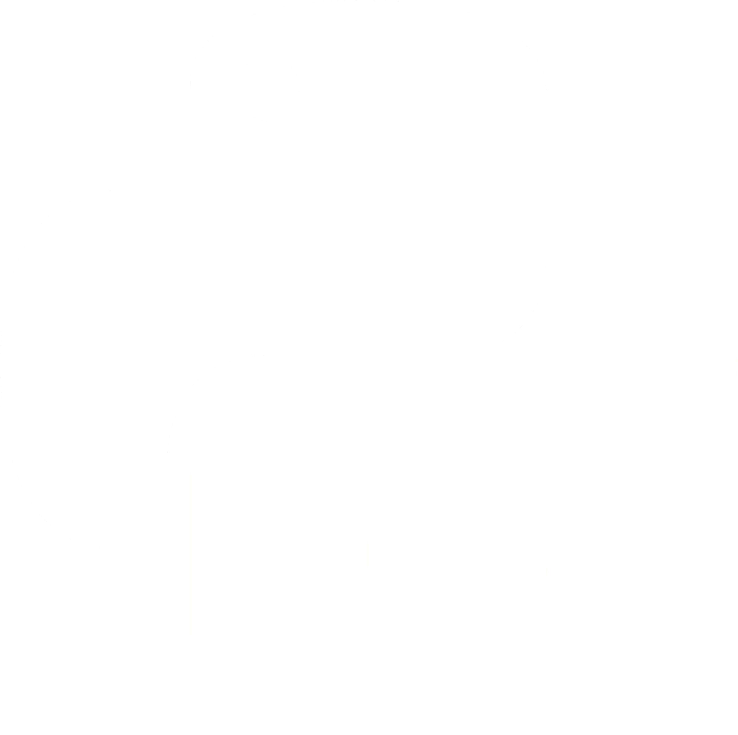 Python icon